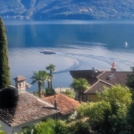 Residence Venus Garden Brissago Kültér fotó