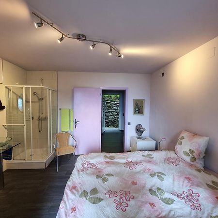 Residence Venus Garden Brissago Szoba fotó