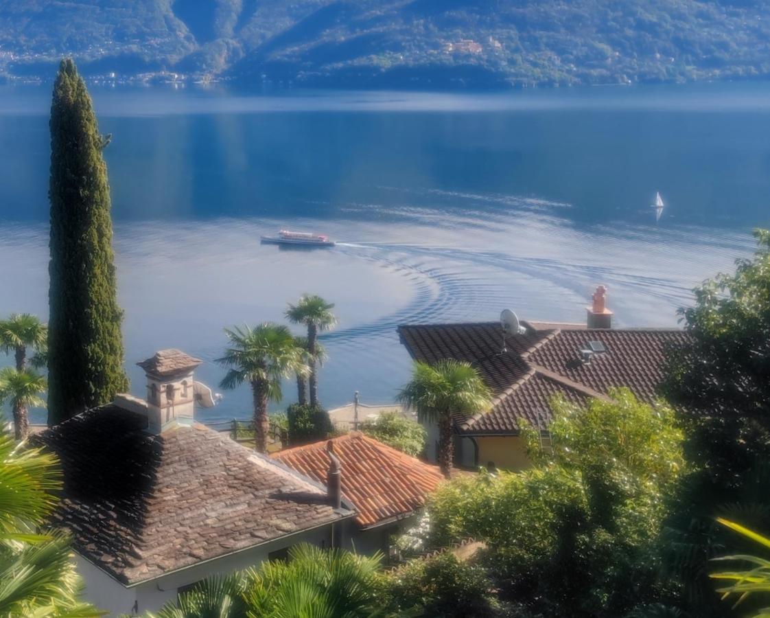Residence Venus Garden Brissago Kültér fotó