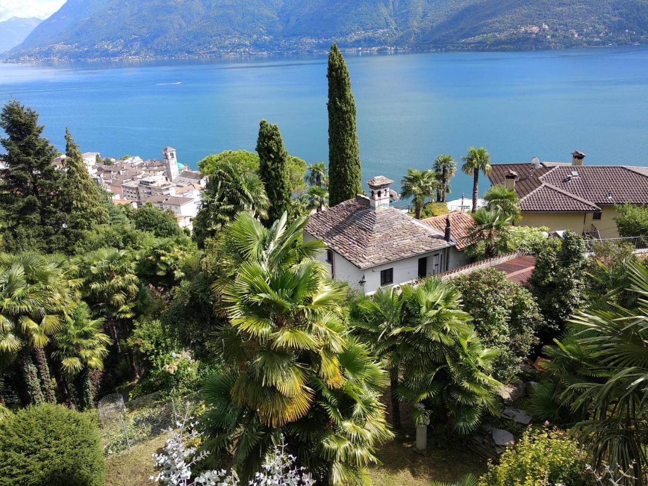 Residence Venus Garden Brissago Kültér fotó